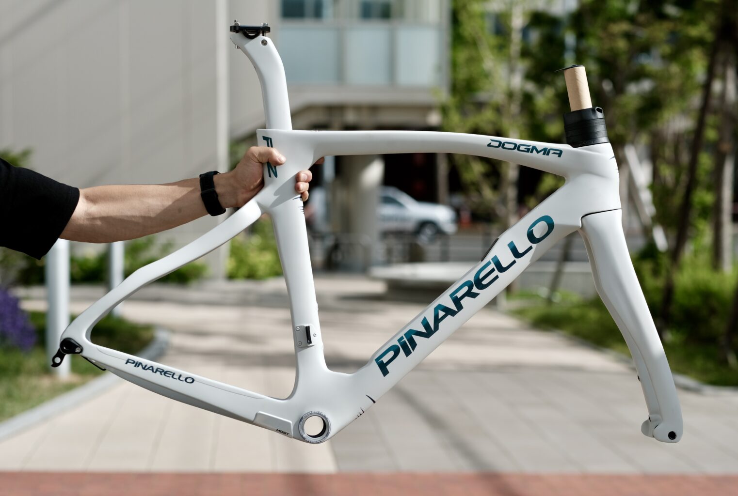 DOGMA F12 DISK「SIDERAL GREY」