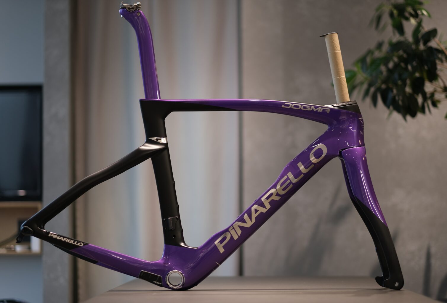 PINARELLO「DOGMA F 2023」入荷しました
