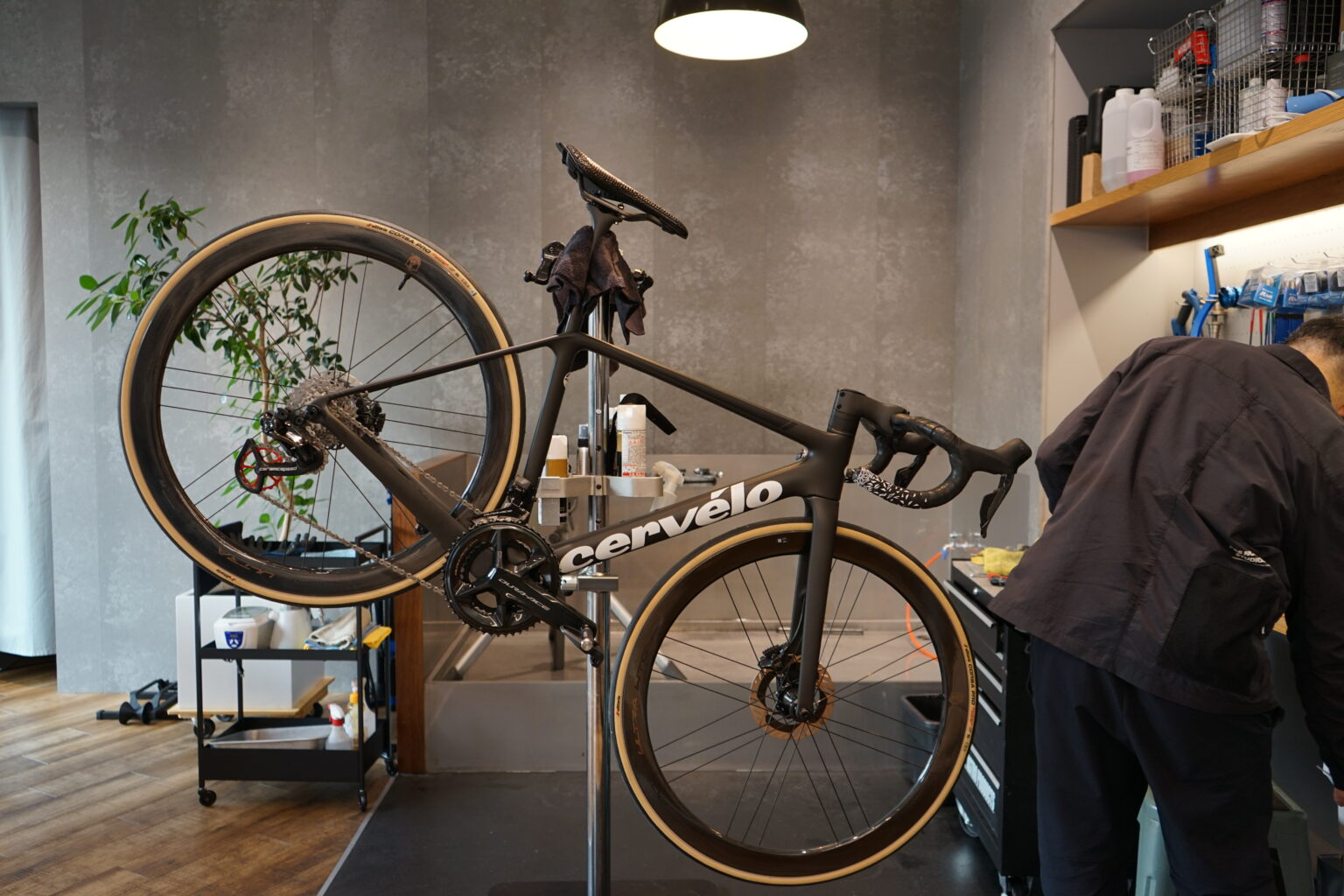 「cervelo 無金利ローンキャンペーン」12/28まで！